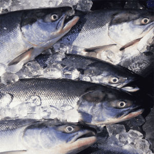 Raw fish oil