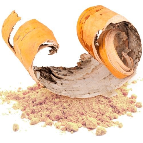 Raw birch bark